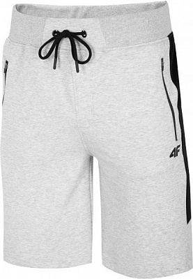 Шорти 4F H4L20-SKMD002-27M р. 3XL світло-сірий