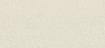 Шпалери Vinil Фк ЭШТ 1-1359