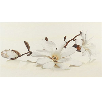 Плитка Opoczno Флора магнолія декор 30x45