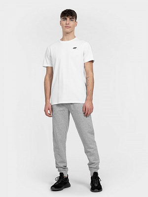 Брюки 4F TROUSERS CAS 4FMM00TTROM311-27M р. L серый