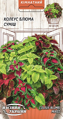 Семена Блюма