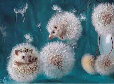 Набір зі стразами на підрамнику Їжачки кульбабки 30x40 см GoToArt