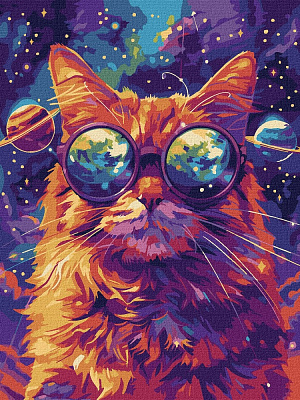 Картина по номерам Звездные очки ©art_selena_ua Ideyka