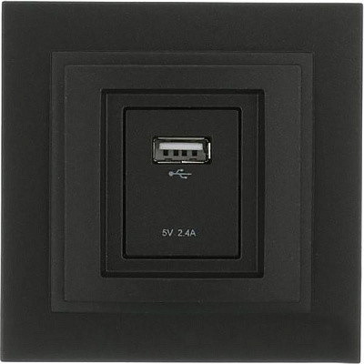 Розетка USB із заземленням Mono Despina без шторок без кришки графіт 102-202005-177