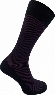 Шкарпетки чоловічі Cool Socks 16747 р. 25-27 фіолетовий 1 пар