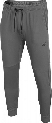 Штани 4F D4Z20-SPMTR111-25S р. XXL сірий