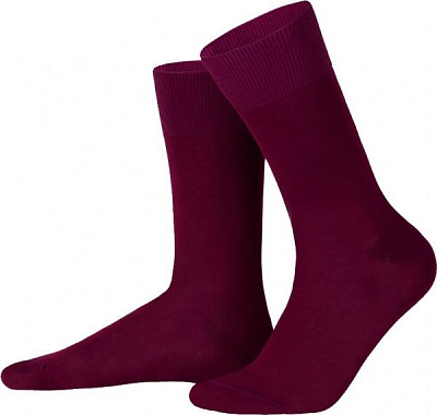 Шкарпетки чоловічі Feeelings р. 41-43 Бордо 1 пар 700 41-43 313