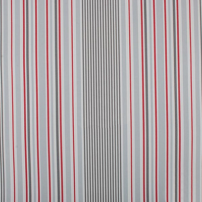 Эдем Статус 834-25 0.7х10.05 м