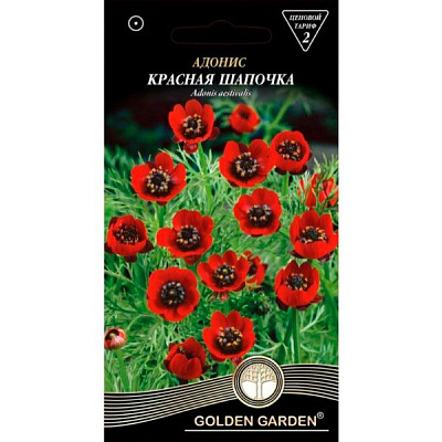 Семена Golden Garden адонис Красная шапочка 1 г