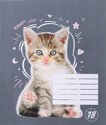 Тетрадь школьная Cat 18 листов клетка 1 Мечты сбываются