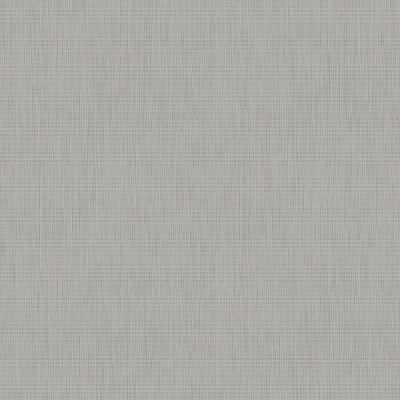 Шпалери вінілові на флізеліновій основі Sintra BASICS, MACRAME UNI 454695 0,53x10,05 м