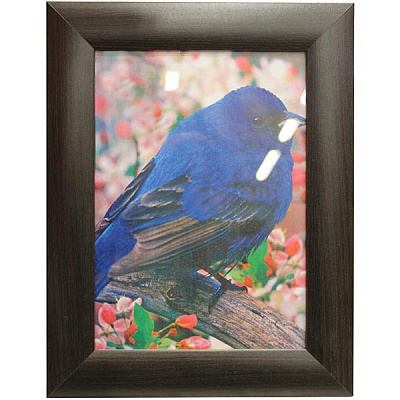 Фоторамка Темне венге 25x38 см