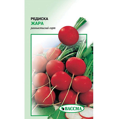 Насіння Редис Жара 20 г