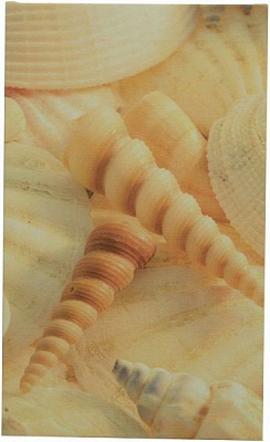 Картина полотно 30x50 см КЕ013-3050