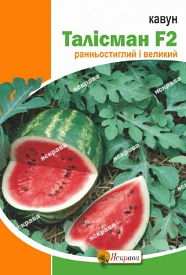 Семена Яскрава арбуз Талисман F3 10 г