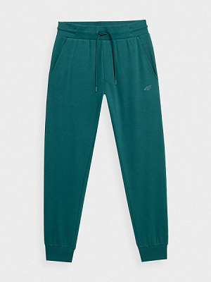 Брюки 4F TROUSERS CAS M289 4FAW22TTROM289-46S р. S зеленый
