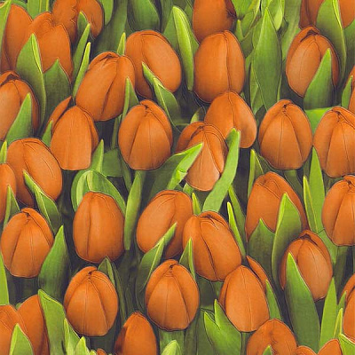 Обои из вспененного винила Sintra Decoration Тюльпаны 416747 0,53x10,05 м 