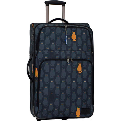 Чемодан Bagland 37666244 51 л разноцветный Леон 193 