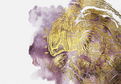 Картина на холсте М021 Срез времени (без рамы) 55x80 см ТЕРРАВОЛ 