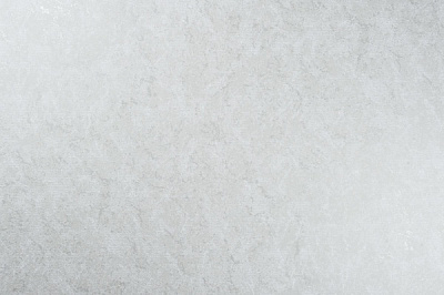 Шпалери зі спіненого вінілу Vinil Sphere ДХН-1641/2 1,06x10,5 м