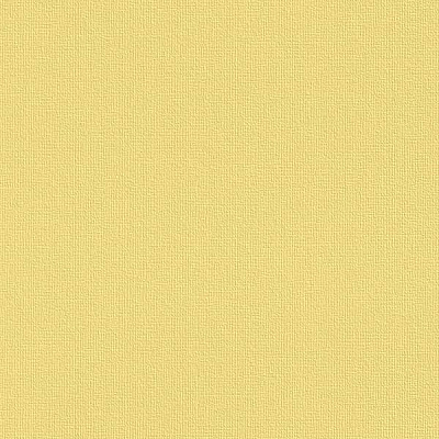 Rasch Fresh Up 496444 0.53x10.05 м