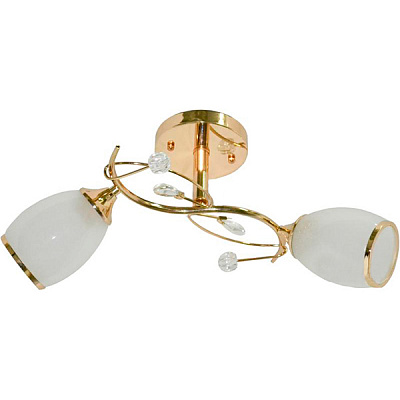 Люстра НПБ Геотон А1770/2