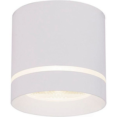 Светильник точечный LightMaster LLT102 COB 10 Вт 4000 К белый 