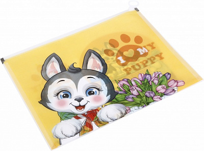 Папка с пластиковой застежкой A4+ Bourgeois ПП10 