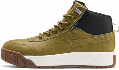 Кросівки Puma Tarrenz SB Puretex 37055202 р.UK 8,5 зелений