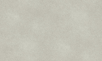 Обои виниловые на флизелиновой основе RASCH Fiesta 973020 1,06x10,05 м 