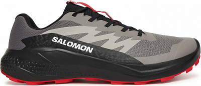 Кроссовки мужские Salomon Alphaglide L48000800 р.46 серые