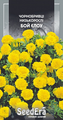 Насіння SeedEra чорнобривці низькорослі Бой єлоу 0,3 г (4823114401510)