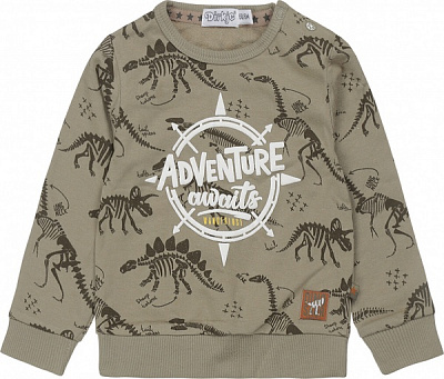 Джемпер для мальчика Dirkje р.80 шалфей T46605-35 
