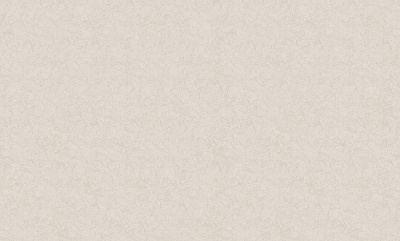 Шпалери вінілові на флізеліновій основі Bravo 81115BR01 1,06x10,05 м