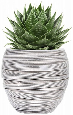 Кашпо керамическое Capi Elegant Loop круглый 0,3л слоновая кость (080265) 