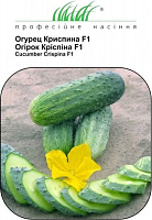Семена Професійне насіння огурец Криспина F1 10 шт. (4823058204925)