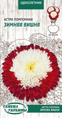 Семена Семена Украины астра помпонная Зимняя вишня 771400 0,25 г