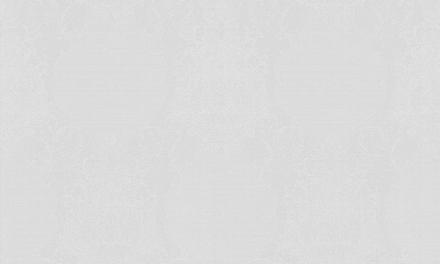 Шпалери вінілові на флізеліновій основі WallCOLOR W 161 C 10 1,06x10,05 м