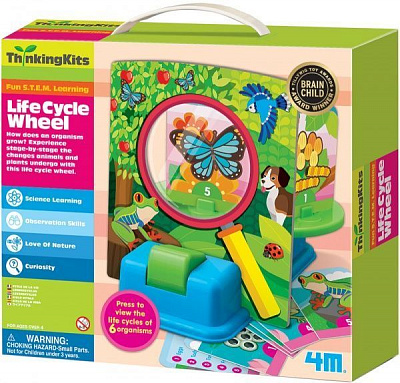 Набор 4M Жизненный цикл 00-04693