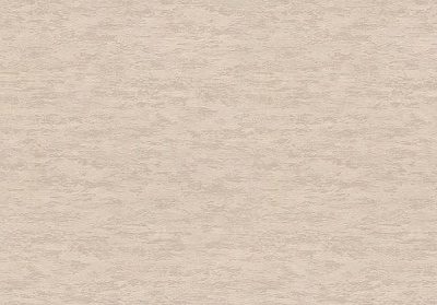 Шпалери Vinil Дана VIP1-0894