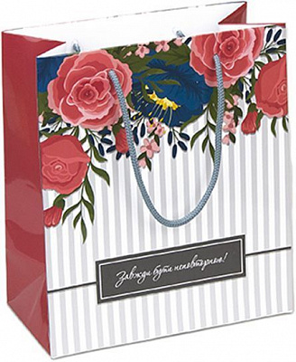 Пакет паперовий Smile 24,5х21,5х11 см