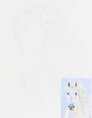 Полотно на картоні з контуром Тварини № 4 Rosa Talent