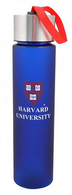 Пляшка 500 мл YES Harvard синій 706027