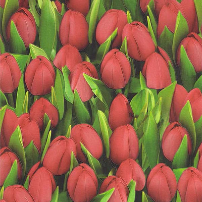 Шпалери зі спіненого вінілу Sintra Decoration Тюльпани 416754 0,53x10,05 м