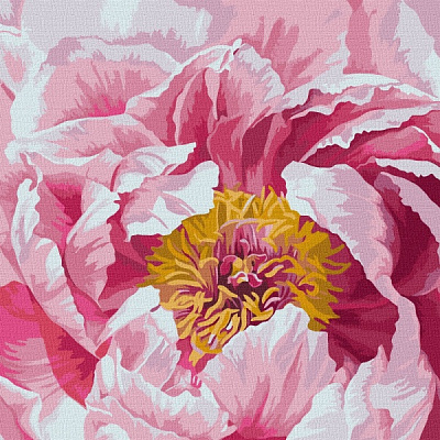 Картина за номерами Барвиста півонія 40х40 см 40x40 см Ідейка