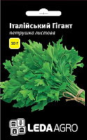 Семена LedaAgro петрушка листовая Итальянский Гигант листовая 10г (4820119790533)