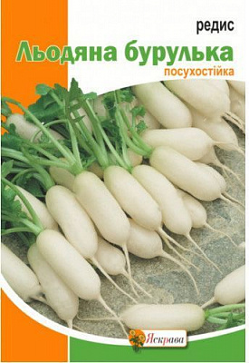 Насіння Яскрава редиска Льодяна Бурулька 20г