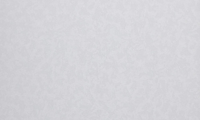 Обои виниловые на флизелиновой основе MEGAPOLIS 9181-10 1,06x10,05 м