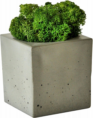 Кашпо квадратне Cube сірий бетон