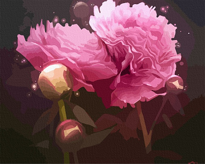 Картина за номерами Магічні півонії 12123-AC 40х50 см ArtCraft